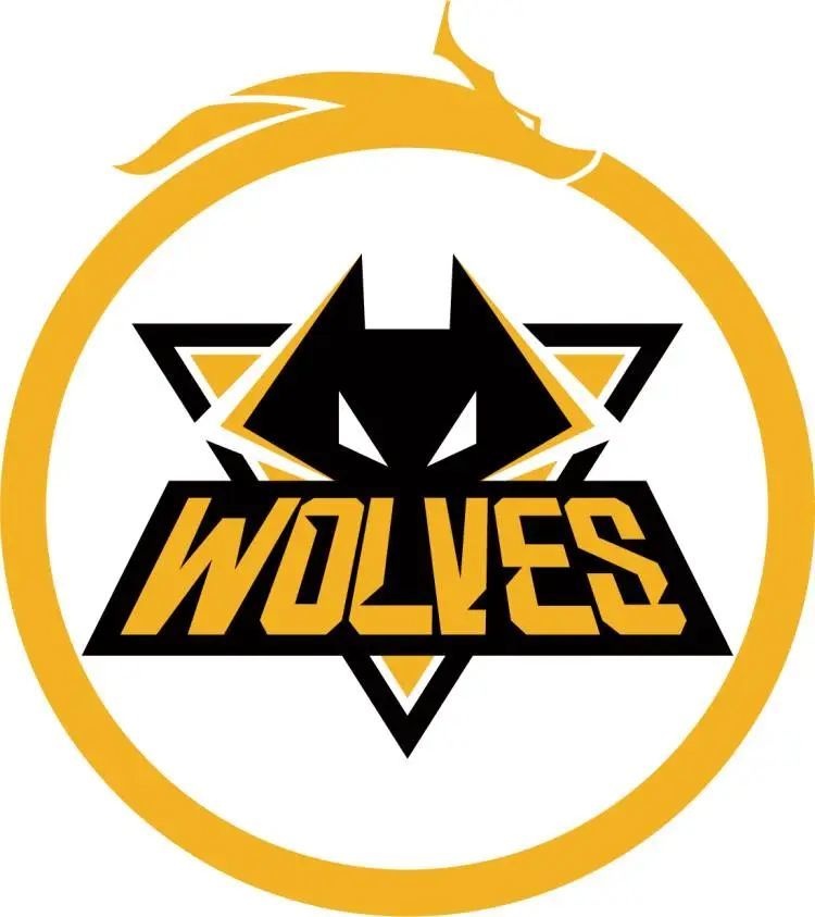 Virtus.pro 击败 Astralis 以晋级 PGL 布加勒斯特 2025 季后赛